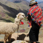 montana-de-colores-alpaca